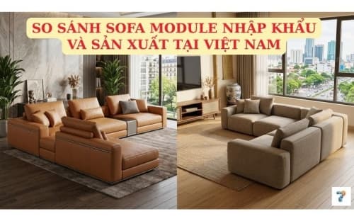 Sofa Module Nhập Khẩu vs Sản Xuất Việt Nam Khác Biệt Ở Đâu?